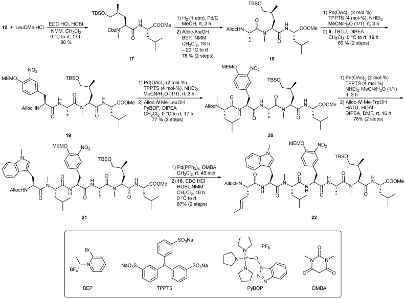 Scheme 4