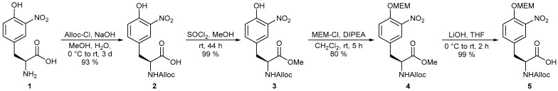 Scheme 1