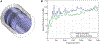 FIGURE 6 |