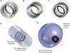 FIGURE 2 |