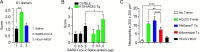 Figure 3—figure supplement 1.