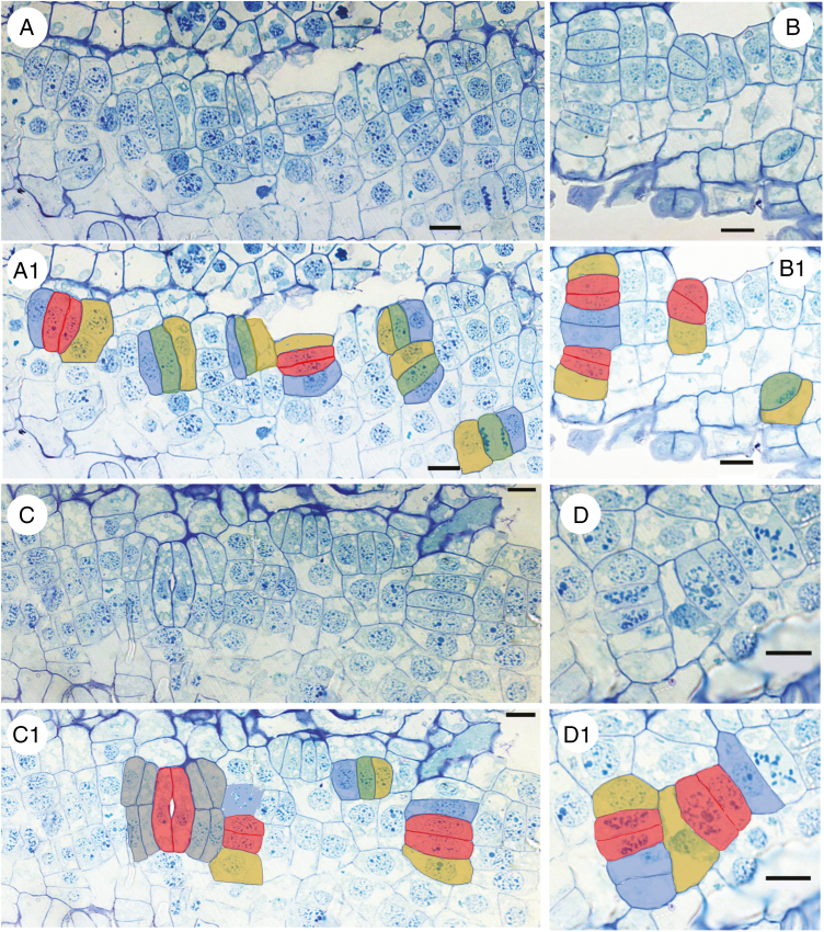 Fig. 7.