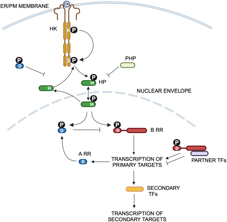Figure 3.