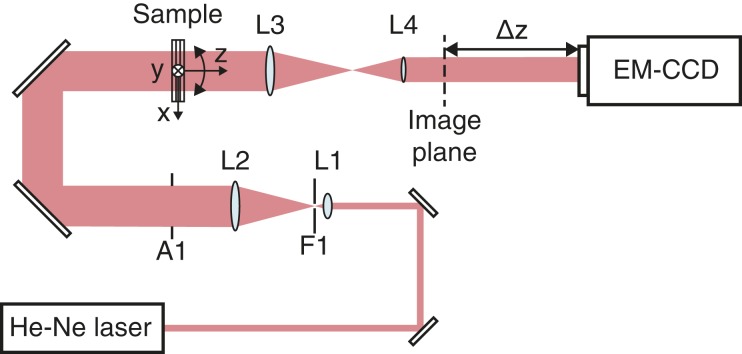 Fig. 2.