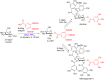Scheme 39