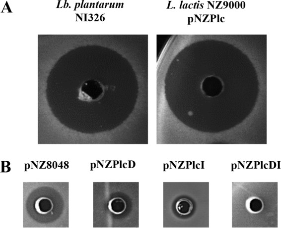 FIG 3