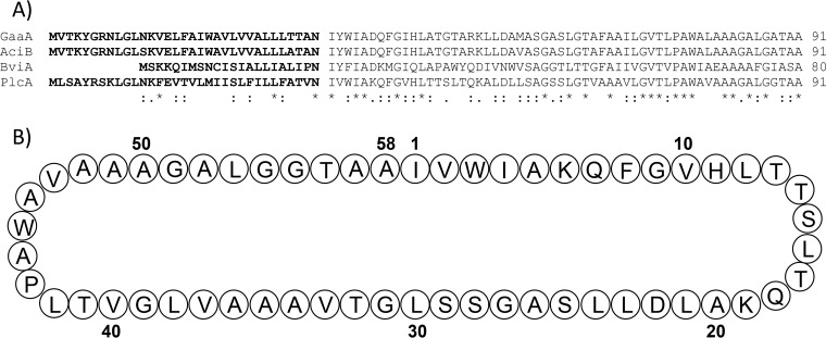 FIG 1