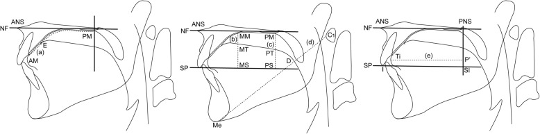 Fig. 6