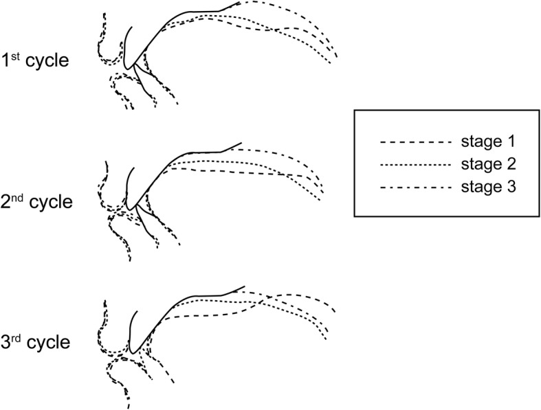 Fig. 7