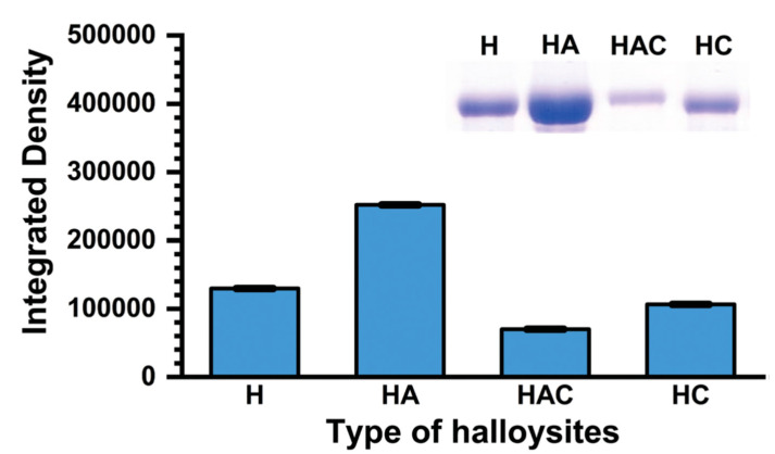 Figure 12