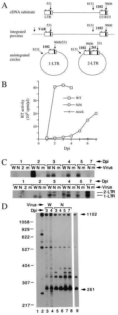 FIG. 4