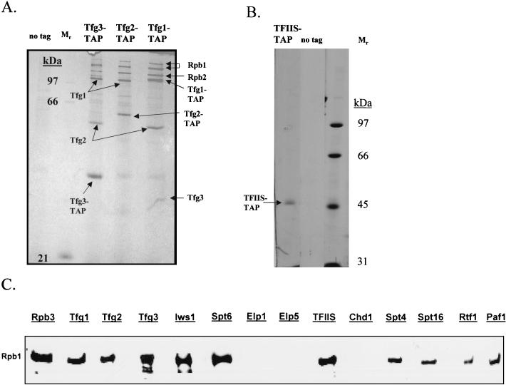 FIG. 4.