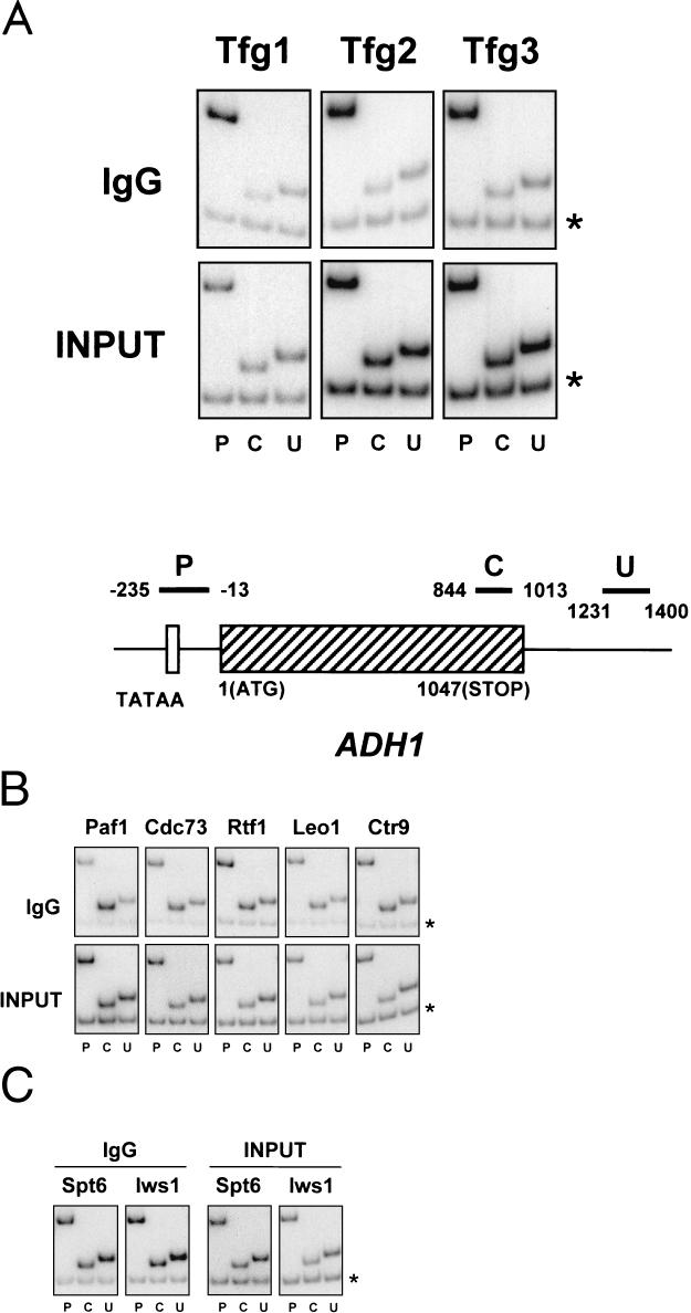 FIG. 5.