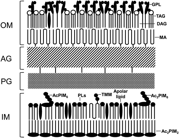 Fig. 5.