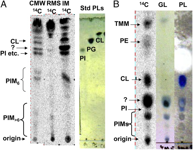 Fig. 2.