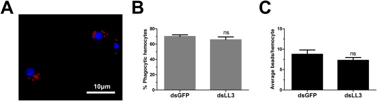 Fig. S5.