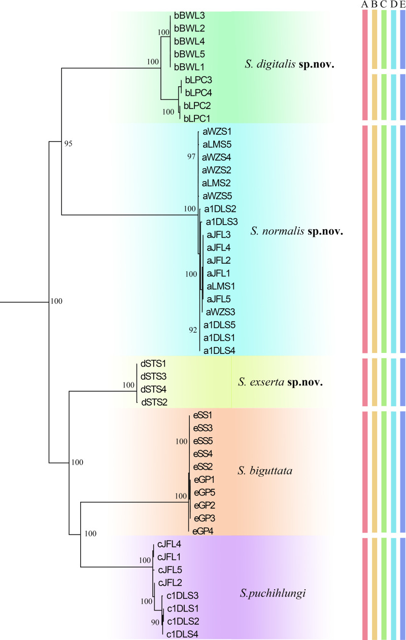 Fig 1