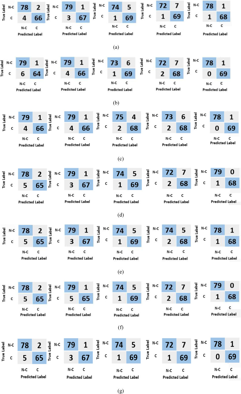 Fig. 10