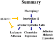 Fig 10