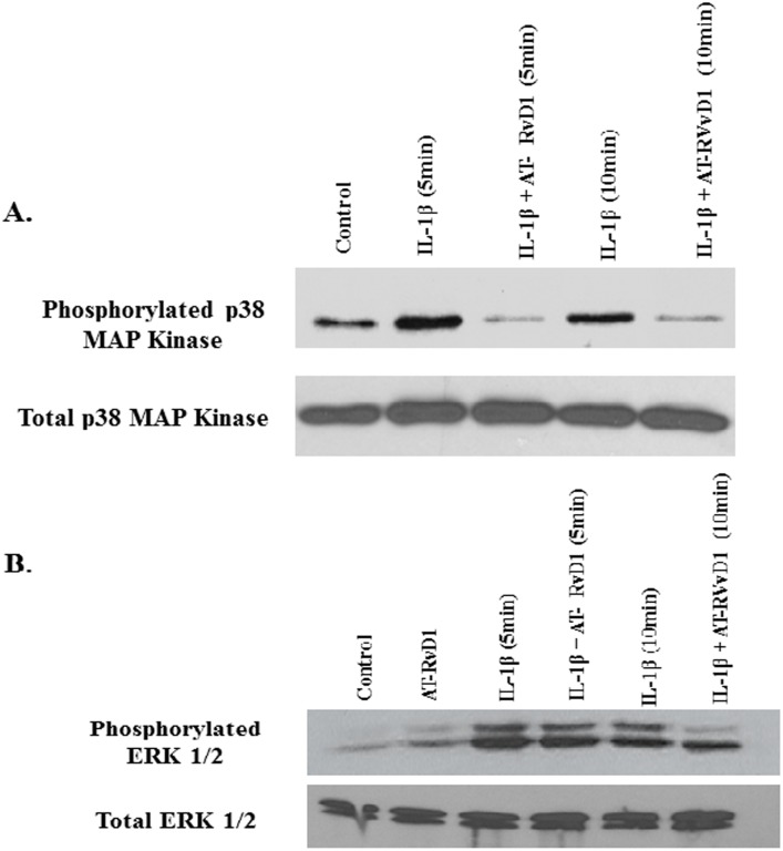 Fig 9