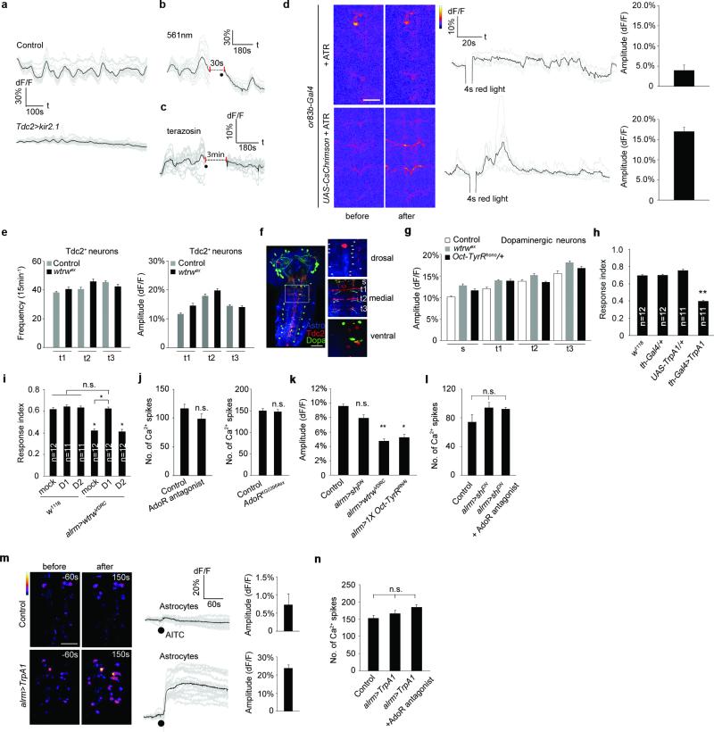 Extended Data Figure 2