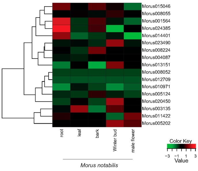 Figure 6