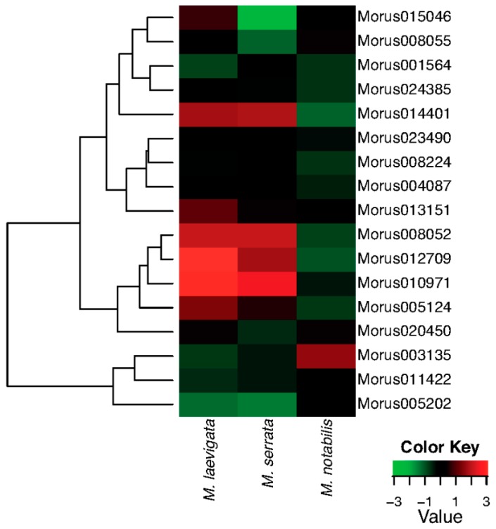 Figure 7