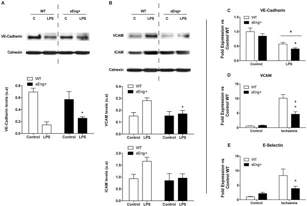 Fig 12