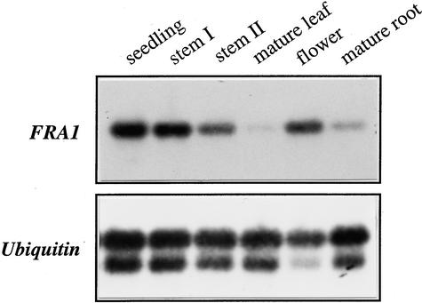 Figure 10.