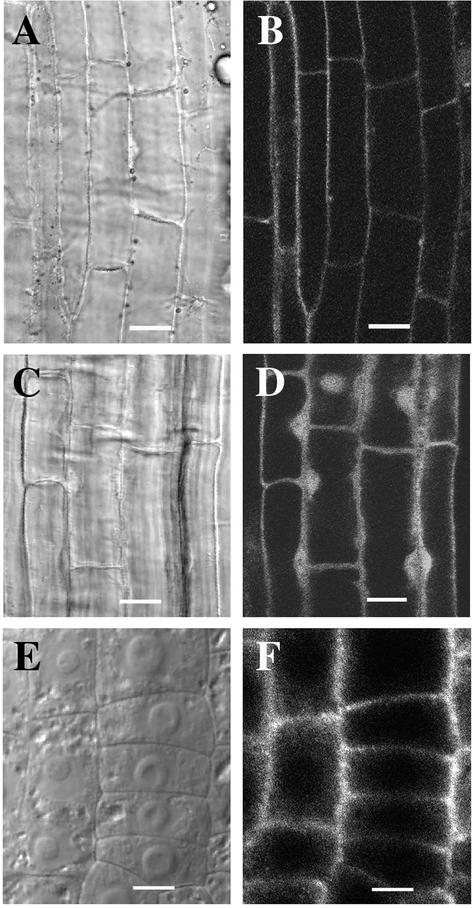 Figure 9.