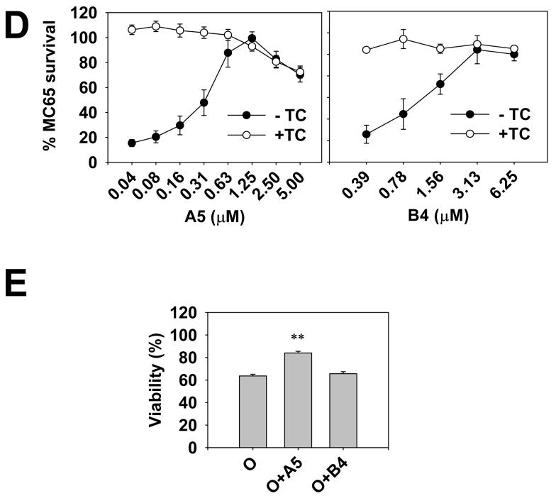 Fig. 3