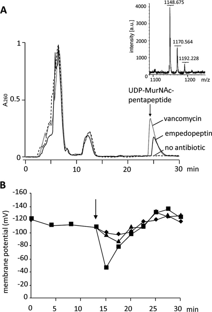 FIGURE 3.