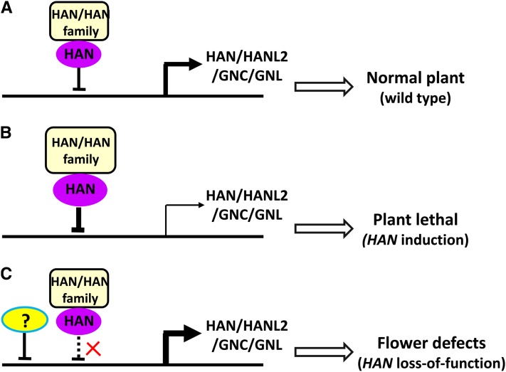 Figure 11.