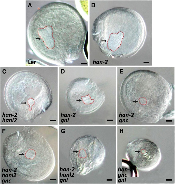 Figure 6.