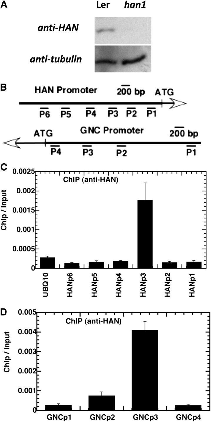 Figure 10.