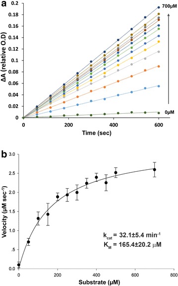 Fig. 3