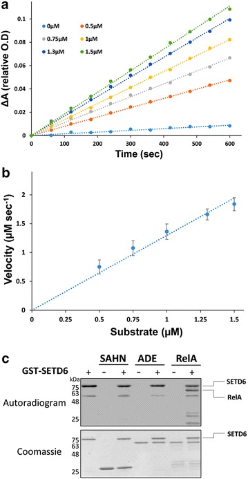 Fig. 4