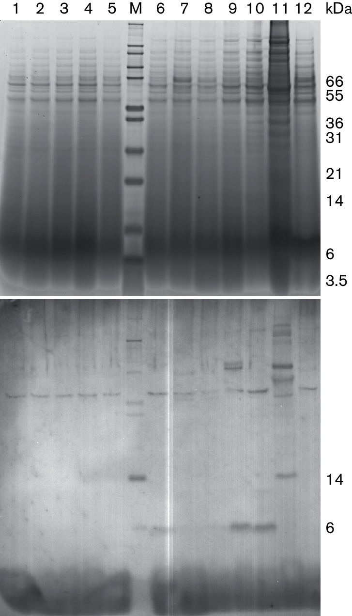 Fig. 6.