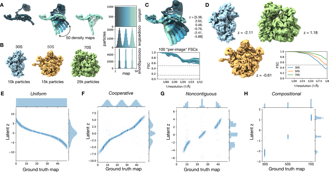 Figure 3)