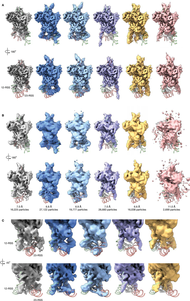 Extended Data Figure 2.