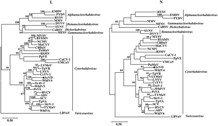 FIGURE 2