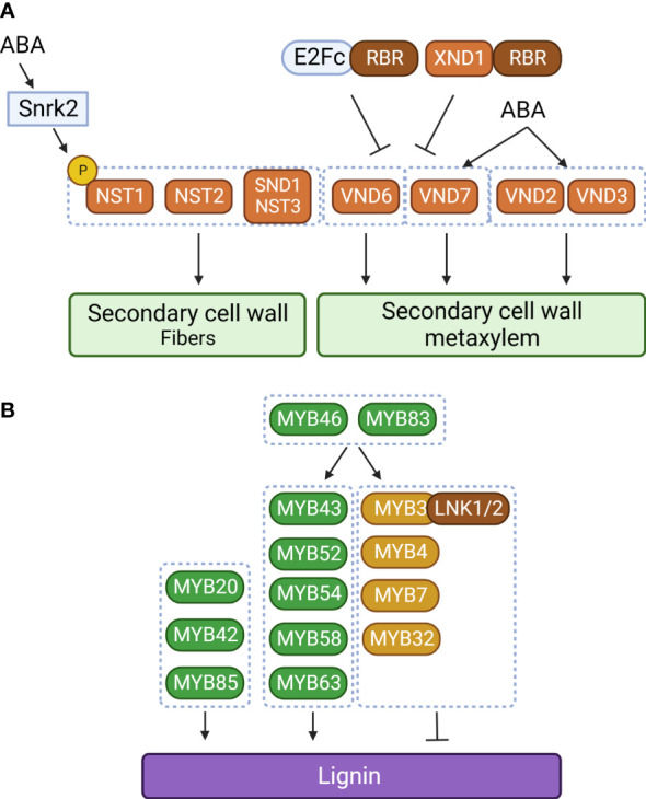 Figure 2