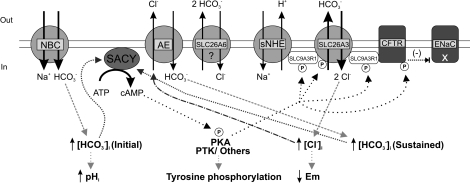 FIG. 8.