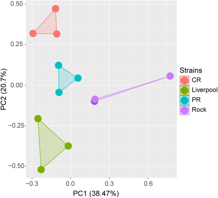 FIGURE 2