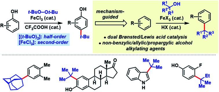 graphic file with name d1sc06422c-ga.jpg