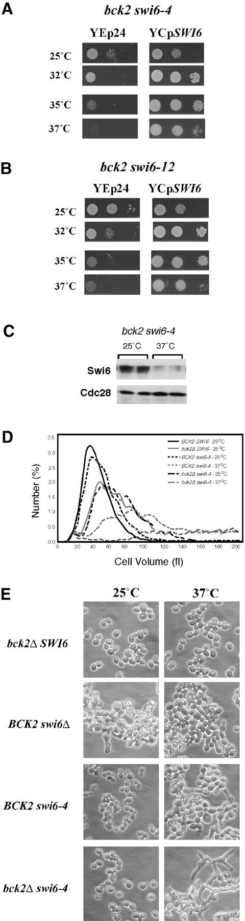 Figure 1.—