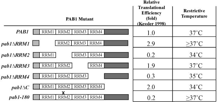 Figure 6.—