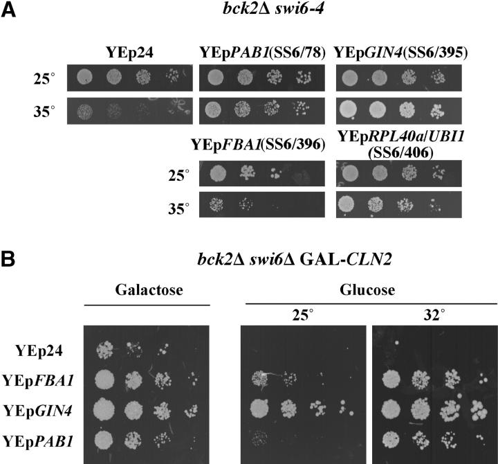 Figure 2.—