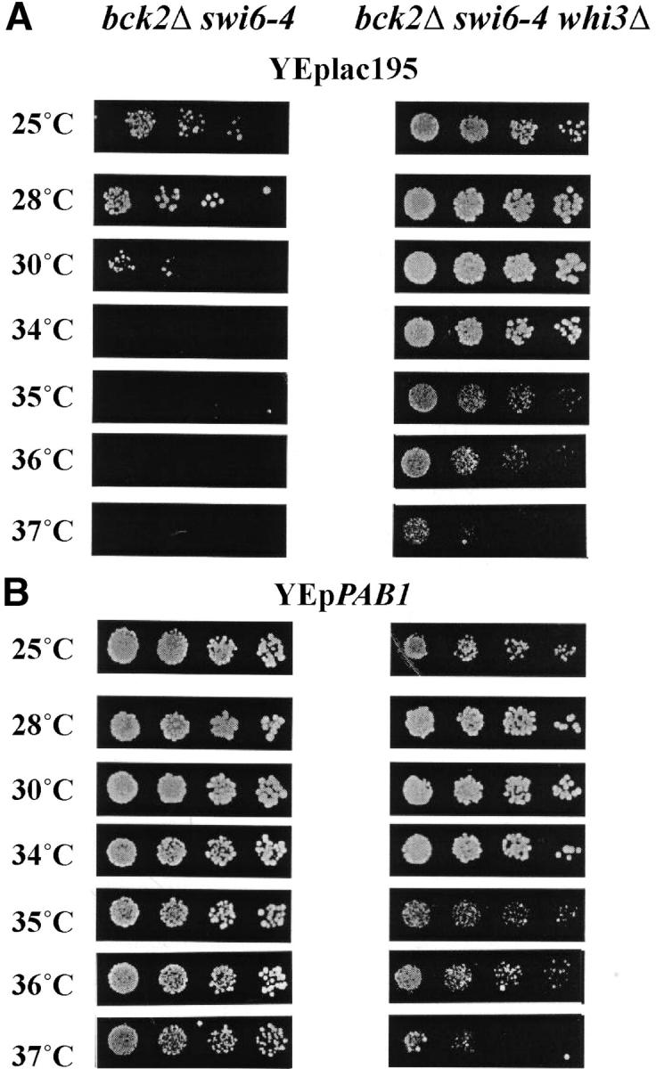 Figure 7.—