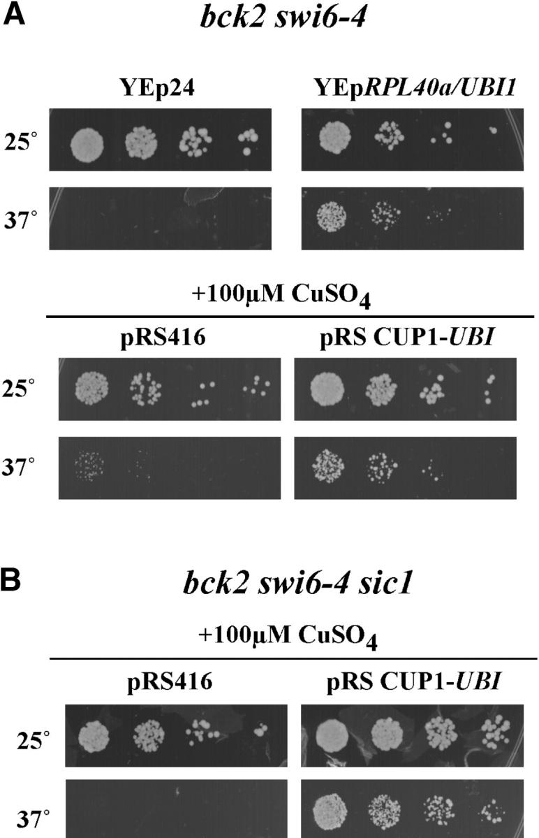 Figure 3.—